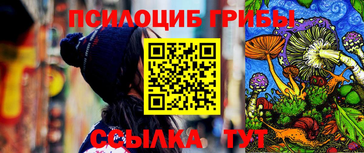 закладки  Вход с VPN  Краснодар  Псилоцибиновые грибы прущие грибы 